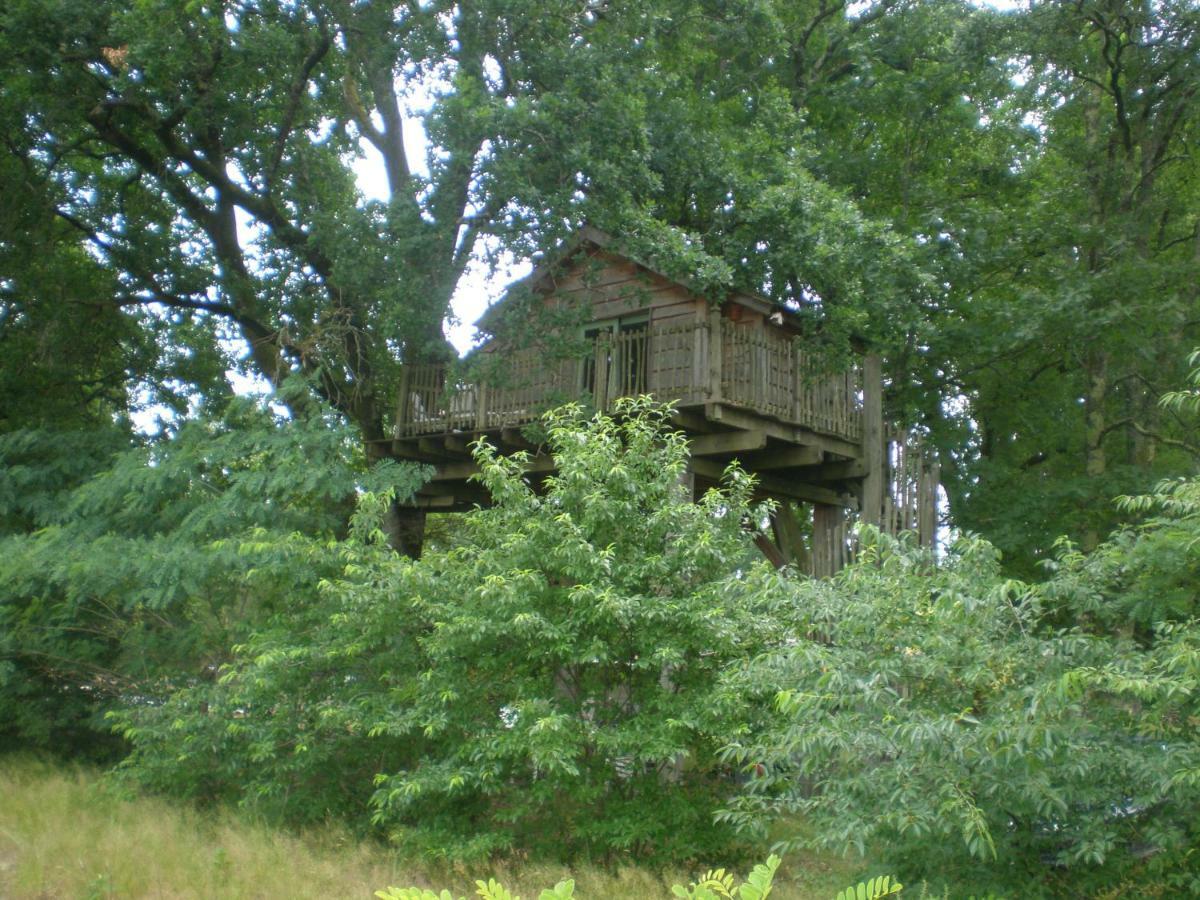 Cabane Perchee Solférino Eksteriør billede