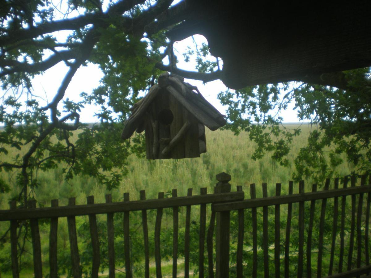 Cabane Perchee Solférino Eksteriør billede